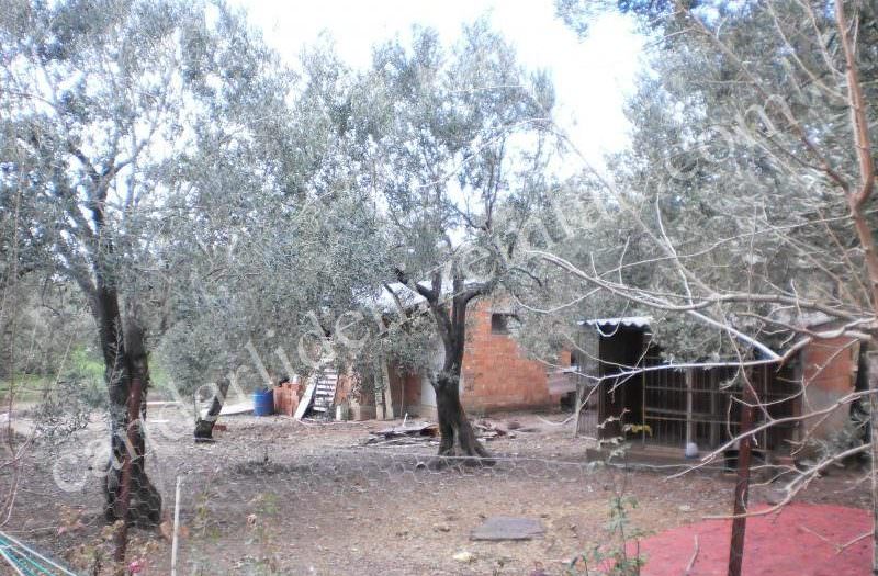 Çandarlı Liman Bölgesinde Satılık 3700m2 Arsa