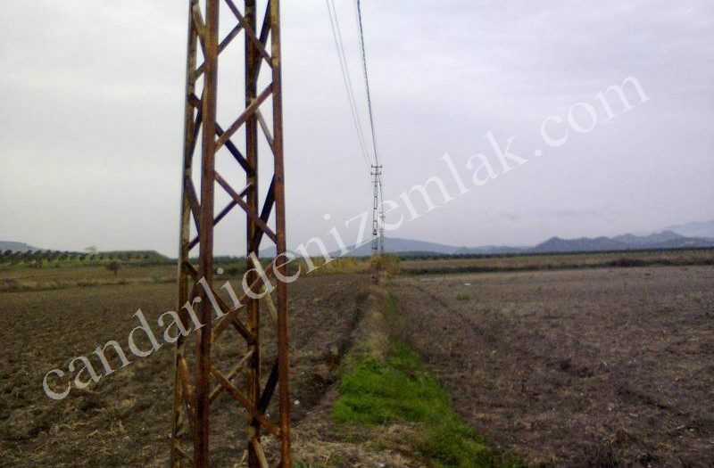 Çandarlı’da Satılık 14 Dönüm Tarla