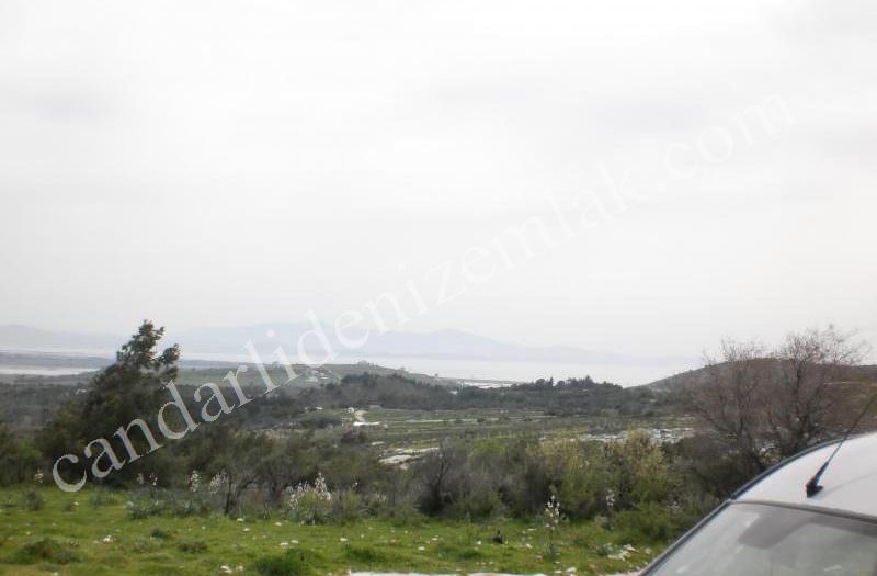 Çandarlıda Yola Yakın Satılık 70Dönüm Arazi