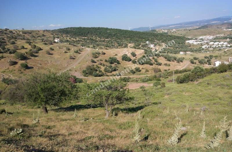 Çandarlı Özlem ‘de Manzaralı Satılık Arsa