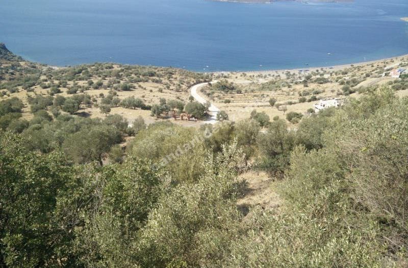 Çandarlı Denizkent Deniz Manzaralı Arsa