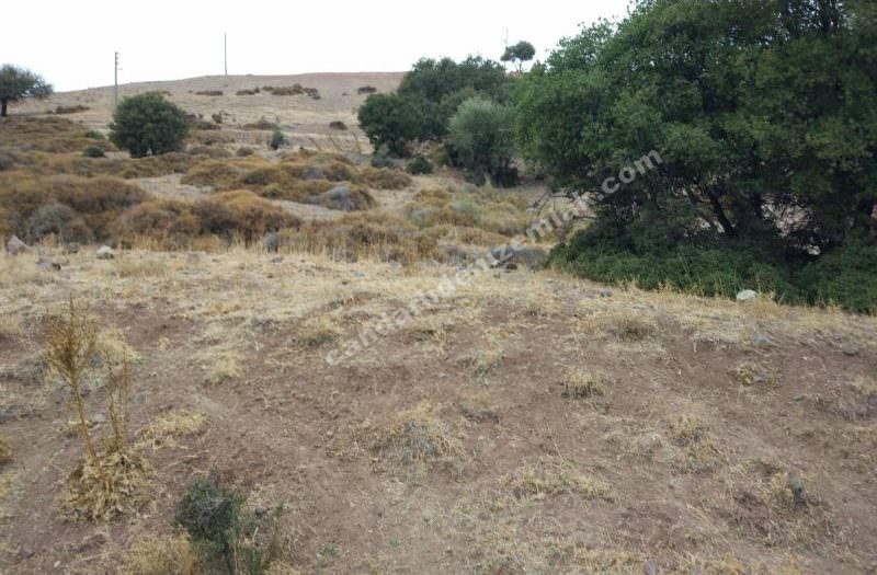 Çandarlı Özlem Koop. Satılık Arsa