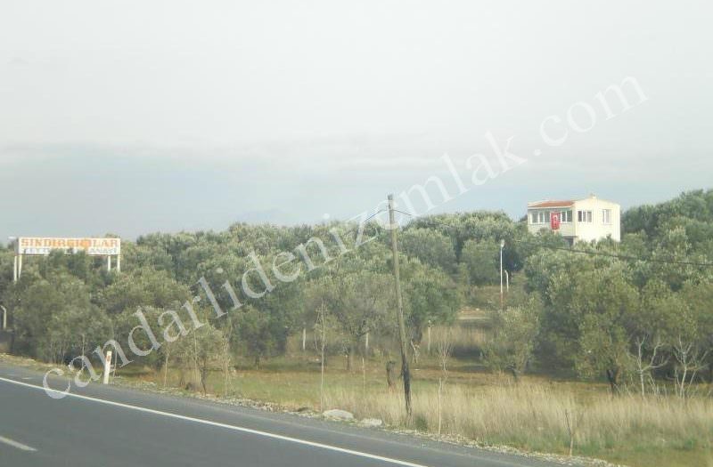 Çandarlı Limanına Yakın Satılık Tarla
