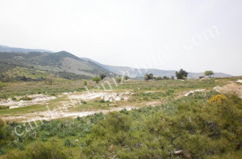 Çandarlıda Yola Yakın Satılık 70Dönüm Arazi