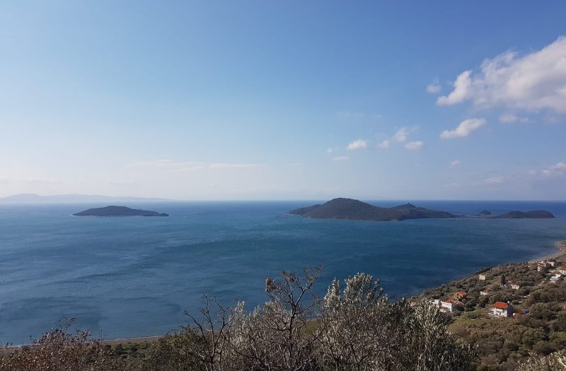 Çandarlı Siteler’de Satılık 7 Dönüm Arsa