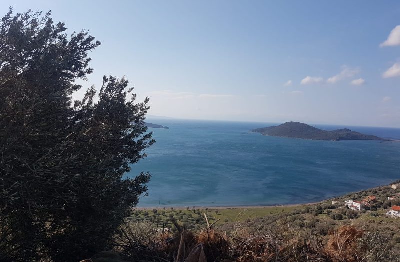 Çandarlı Siteler’de Satılık 7 Dönüm Arsa