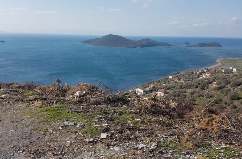 Çandarlı Siteler’de Satılık 7 Dönüm Arsa